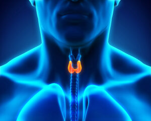 Senior Home Care Rahway NJ - What Seniors Need to Know About Thyroid Issues